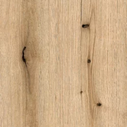 Oak K365