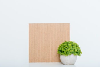 LEER 3D - 005 Vectra - Image 3