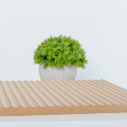 LEER 3D - 008 Caledra