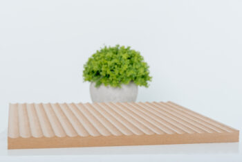 LEER 3D - 008 Caledra