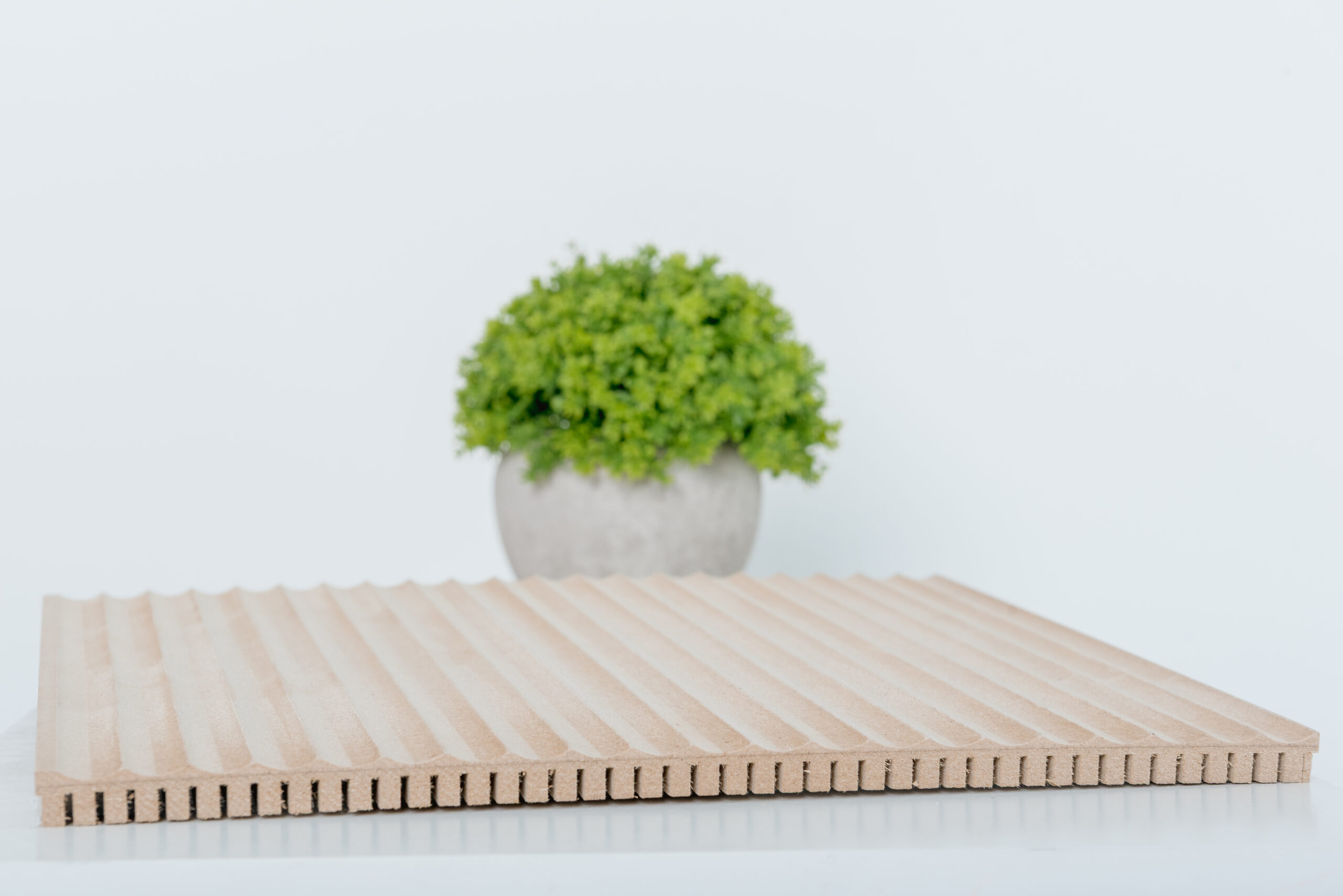 LEER 3D - 008 Caledra Flex