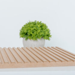 LEER 3D - 009 Steptrix