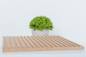 LEER 3D - 009 Steptrix