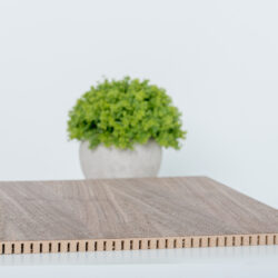 LEER 3D - wood flex ( am. dió )